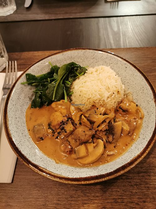 Mushroom strogonoff at Brisa do Rio in Tavira