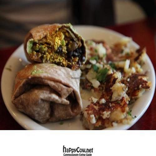 scrambled tofu breakfast burrito and hash brown at Herbivore - Divisadero in San Francisco