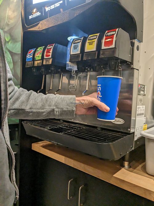 Soda fountian (doesn't serve alcohol) at Frondescence in Boise