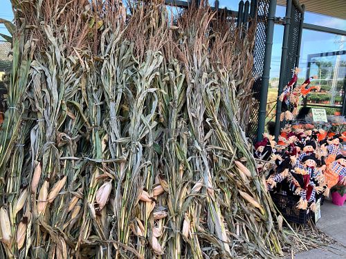  at Produce Junction in Bensalem