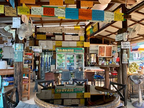  at Ronnie's Organic Coconut Garden in Koh Chang