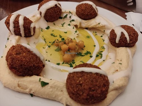 Hummus and falafel at Palestinian Restaurant - Spalena in Prague