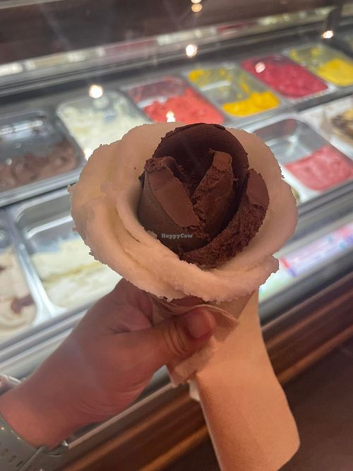 The vegan chocolate and vegan lemon   at Amorino in Cancun