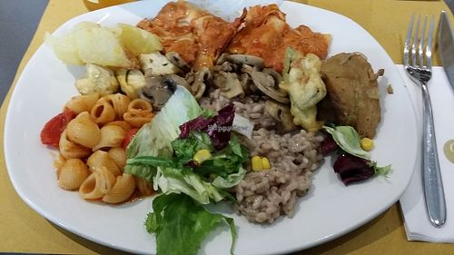 Amazing food! at Ops Cucina Mediterranea in Rome