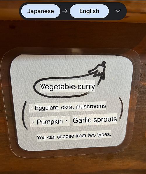 They have two types of veg curry and you can add more vegetable toppings   at Moona Curry in Tottori