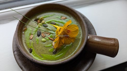 Super green soup at Greenstone Lodge  in Bridge Of Orchy