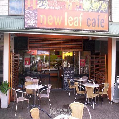  at The New Leaf Cafe in Murwillumbah