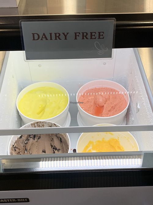 Sweet Firefly Gourmet Ice Cream & Candied Treats Richardson Texas Ice