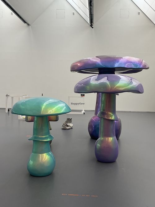   at Kunsthalcafé in Rotterdam