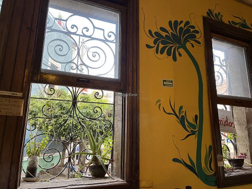 View  at Habibti Falafel in Guanajuato