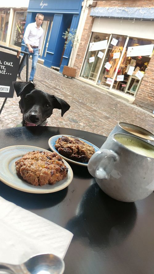 Outdoor tables at Sérès  in Albi