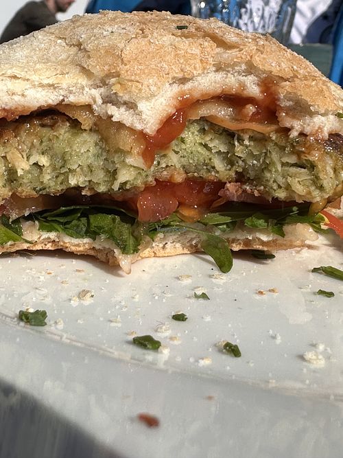 Green Oat Burger  at Arena Center Restaurant in Gerlos