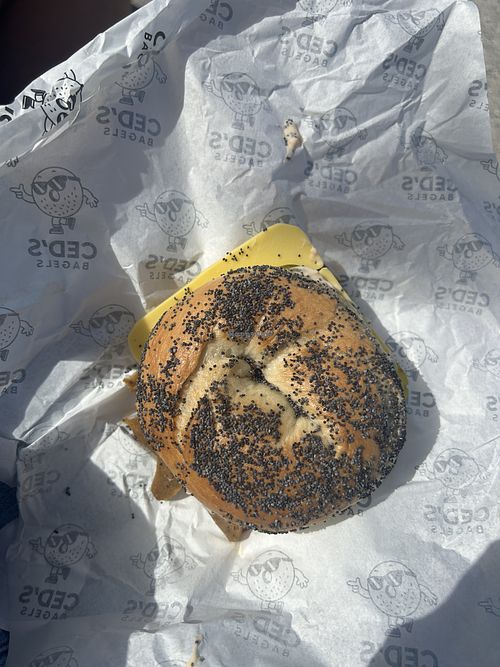 vegan seitan reuben  at Ced's Bagels in Porthleven
