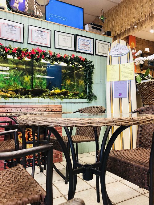 Giant fish tank to watch while enjoying a bite at The Musical Forest Cafe in North Haven