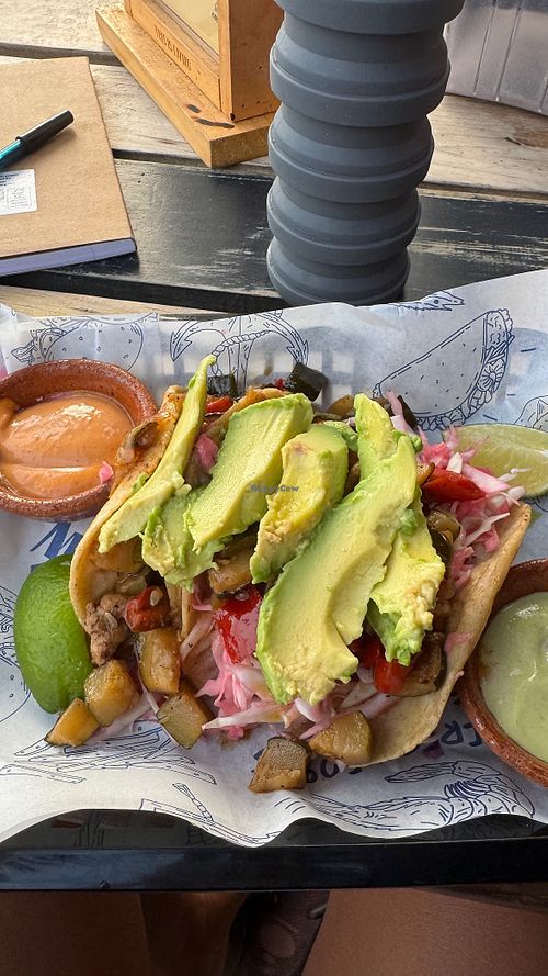   at Cocori Lodge in El Paredon