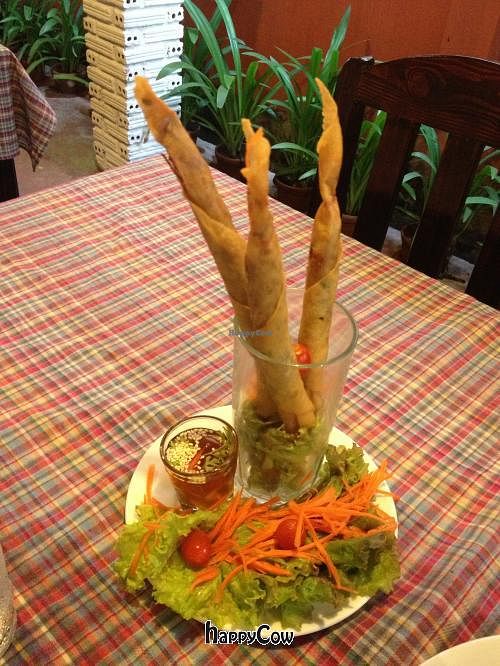 spring rolls , the fried ones
 at Brown Rice Organic Bistro in Chiang Mai