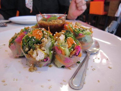 Delicious Fresh Rolls at Brown Rice Organic Bistro in Chiang Mai
