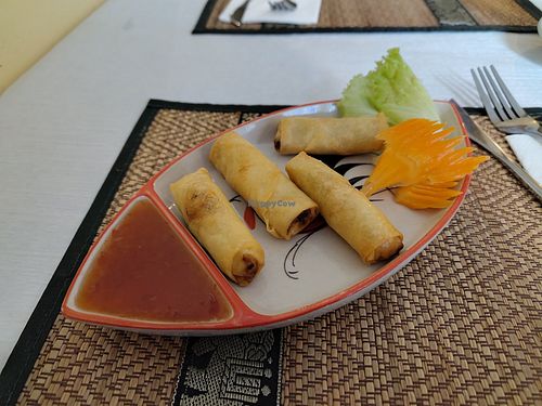 Spring rolls at Les Délices du Siam in Renens