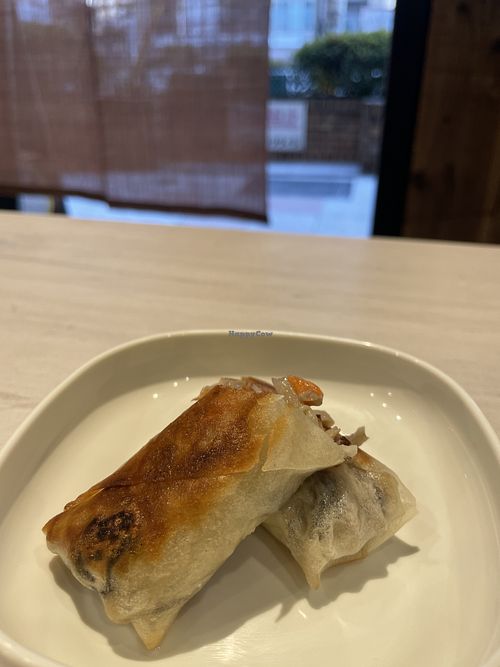 Spring rolls   at Taiwan Vegan Yoichi in Osaka