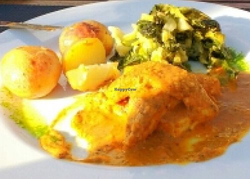 Tofu triangles with cardamom sauce. at Essencia in Porto