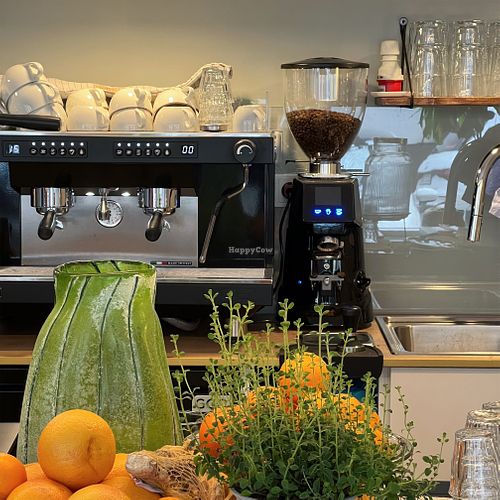 Image of Nunu Mannheim