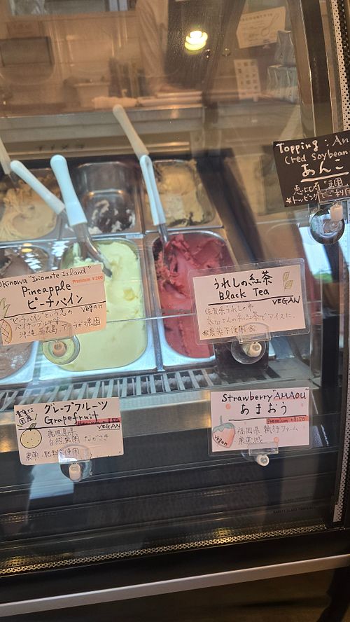 4 vegan sorbet at fun.ice! - ファン アイス in Tokyo