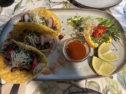Jackfruit Tacos 🌮   at Manipura in Tenerife