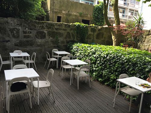 patio garden with cat  at Quintal Bioshop in Porto