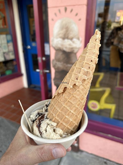 Mimi’s mistake vegan   at Screamin' Mimi's in Sebastopol