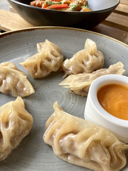 Steamed momos  at Moksh Vegan Cafe in Newtown