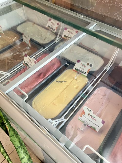 Ice cream  at Moksh Vegan Cafe in Newtown