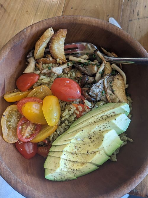 Delicious rice bowl - just get mushrooms instead of fried eggs at Forêt FLG in Flagstaff