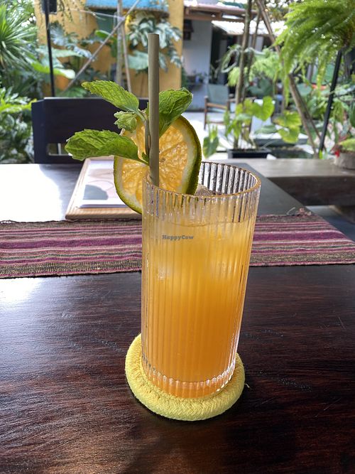 Orange juice   at Tropical Eatery by Chay Vui in Hoi An