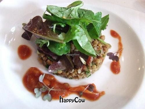 Photo: M. de Jonge. at Natuurlijk Nul-15 in Delft