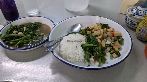 tofu basil + morning glory at J-Yai Restaurant Organic Vegetables in Chiang Mai