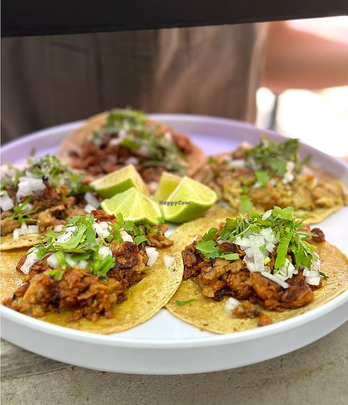  at The Forward Thinking Eatery in San Jose Del Cabo