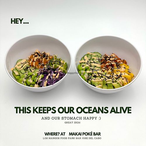  at The Forward Thinking Eatery in San Jose Del Cabo