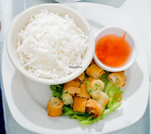 Glass noodles and spring rolls at Boba House in Greensboro
