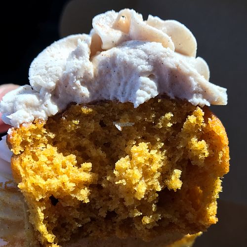 moist Pumpkin cupcake  at Treehouse Bakery in Phoenix