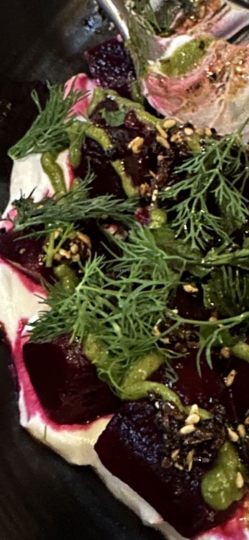 Close up of the Beet with yogurt  at Twelvemonth in Burlingame