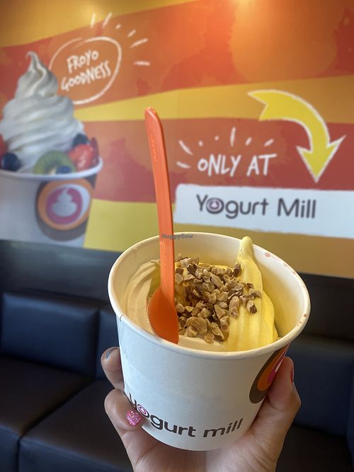 Vegan Creation  at Yogurt Mill - Pelandale Av in Modesto