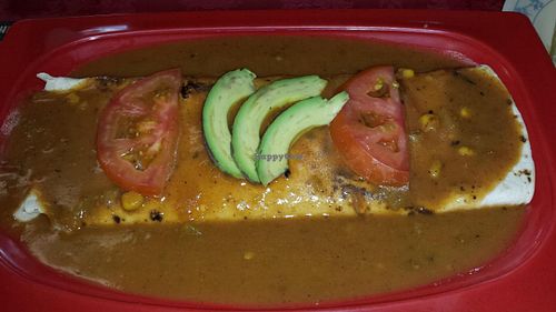 smothered bean burrito (vegan) at Tarascos in Denver