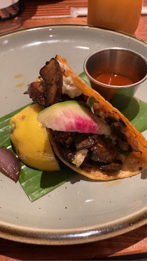 5 Tacos and Beers Berkeley California Restaurant HappyCow