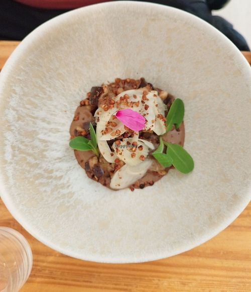 Excellent at La Belle Verte in Toulouse