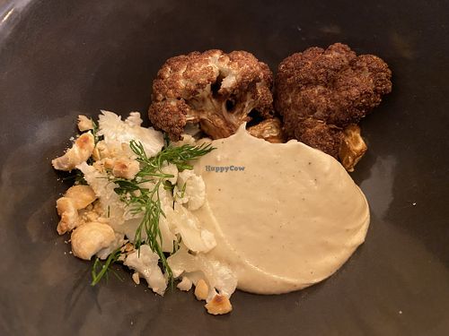   at La Belle Verte in Toulouse