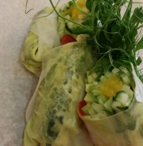 Raw fresh roll with nut sauce at Cafe Imbir - Ginger in Kyiv