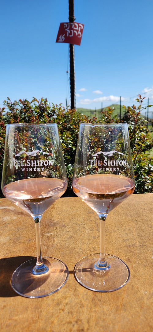 Delicious wines at Tel Shifon Winery in Kibbutz Ortal