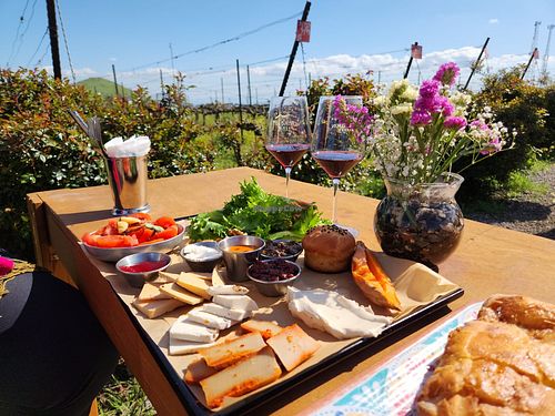 Great ambiance at Tel Shifon Winery in Kibbutz Ortal