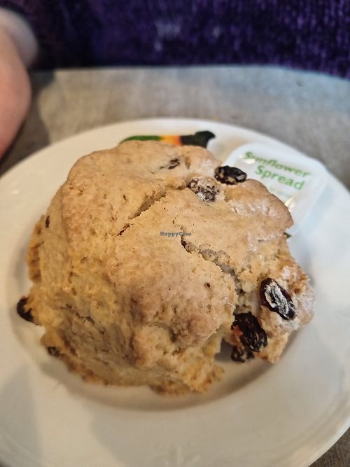 Fruit scone at Lighthouse Café in South Shields