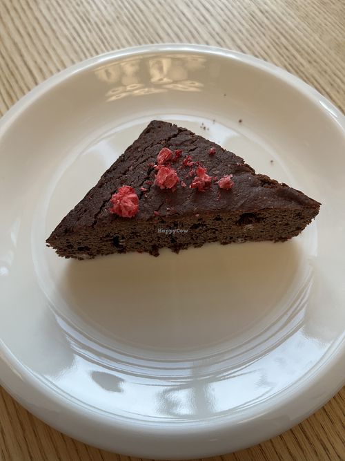   at Arktikum Café in Rovaniemi